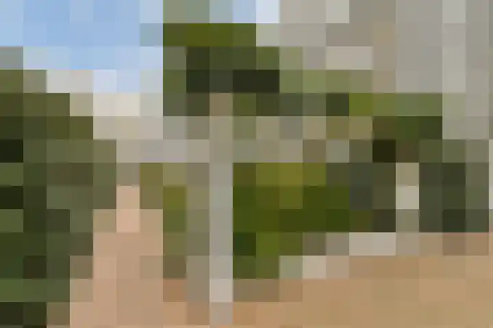 Prinsesseweg 4 d 2 Zandvoort thumbnail 33