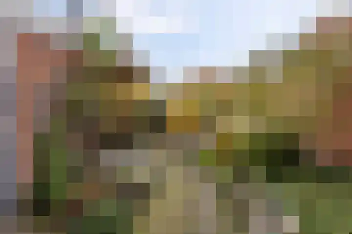 Prinsesseweg 40 Groningen thumbnail 25