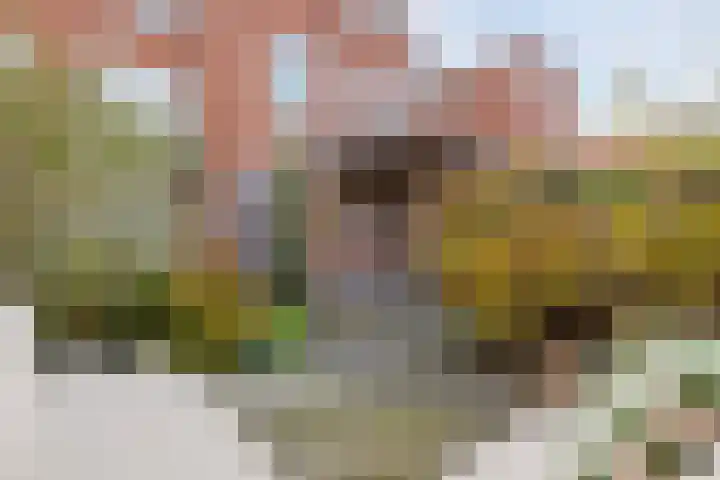 Prinsesseweg 40 Groningen thumbnail 26