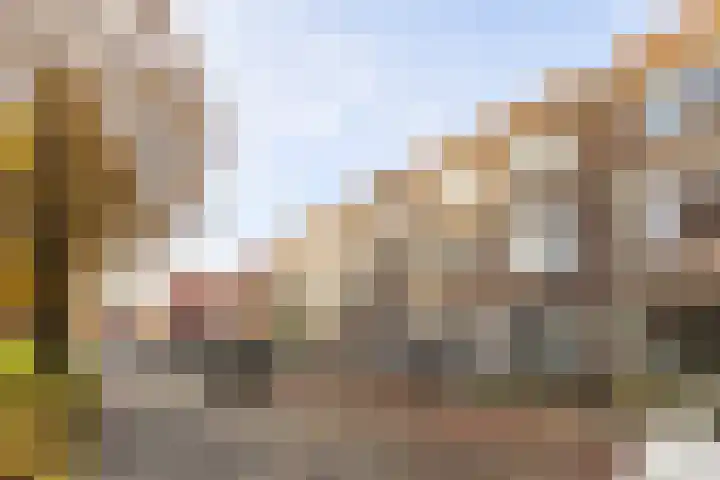 Prinsesseweg 40 Groningen thumbnail 29