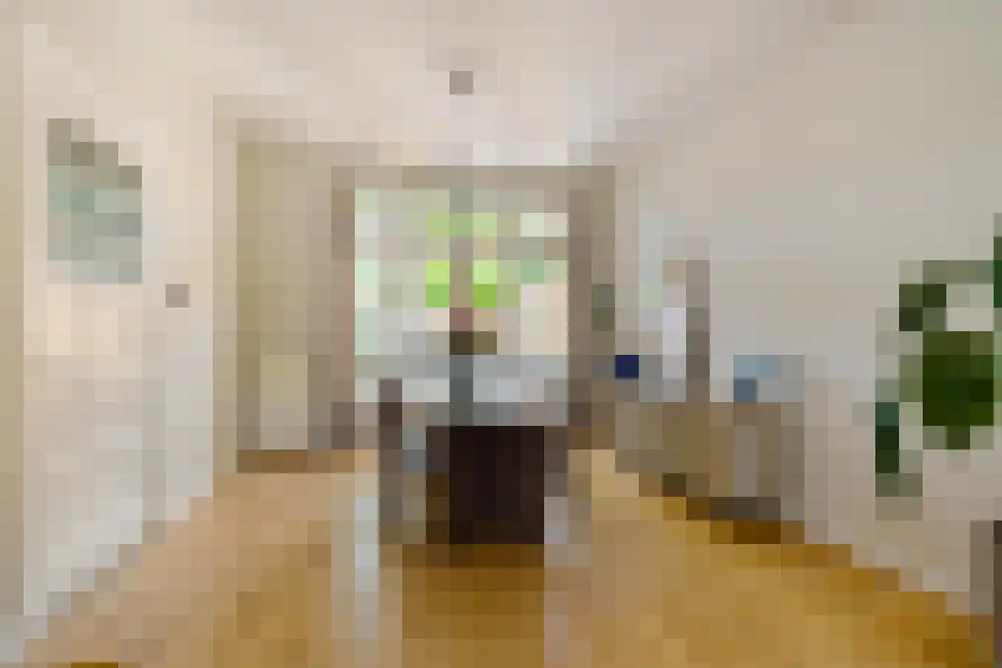 Prinsesseweg 48 Groningen thumbnail 20