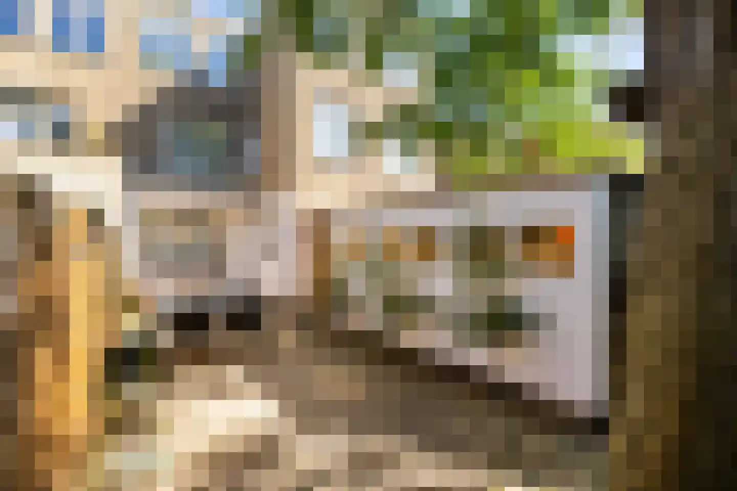 Prinsesseweg 48 Groningen thumbnail 28