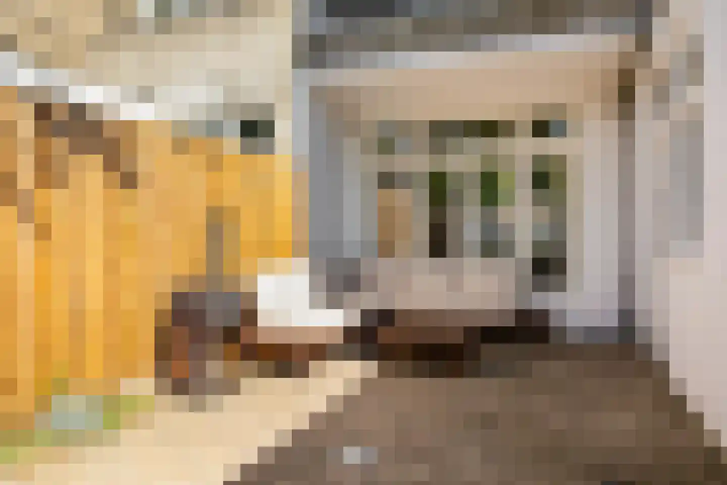 Prinsesseweg 48 Groningen thumbnail 30