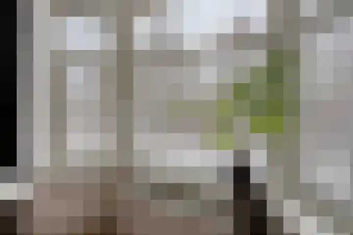 Prinsesseweg 58 Groningen thumbnail 30