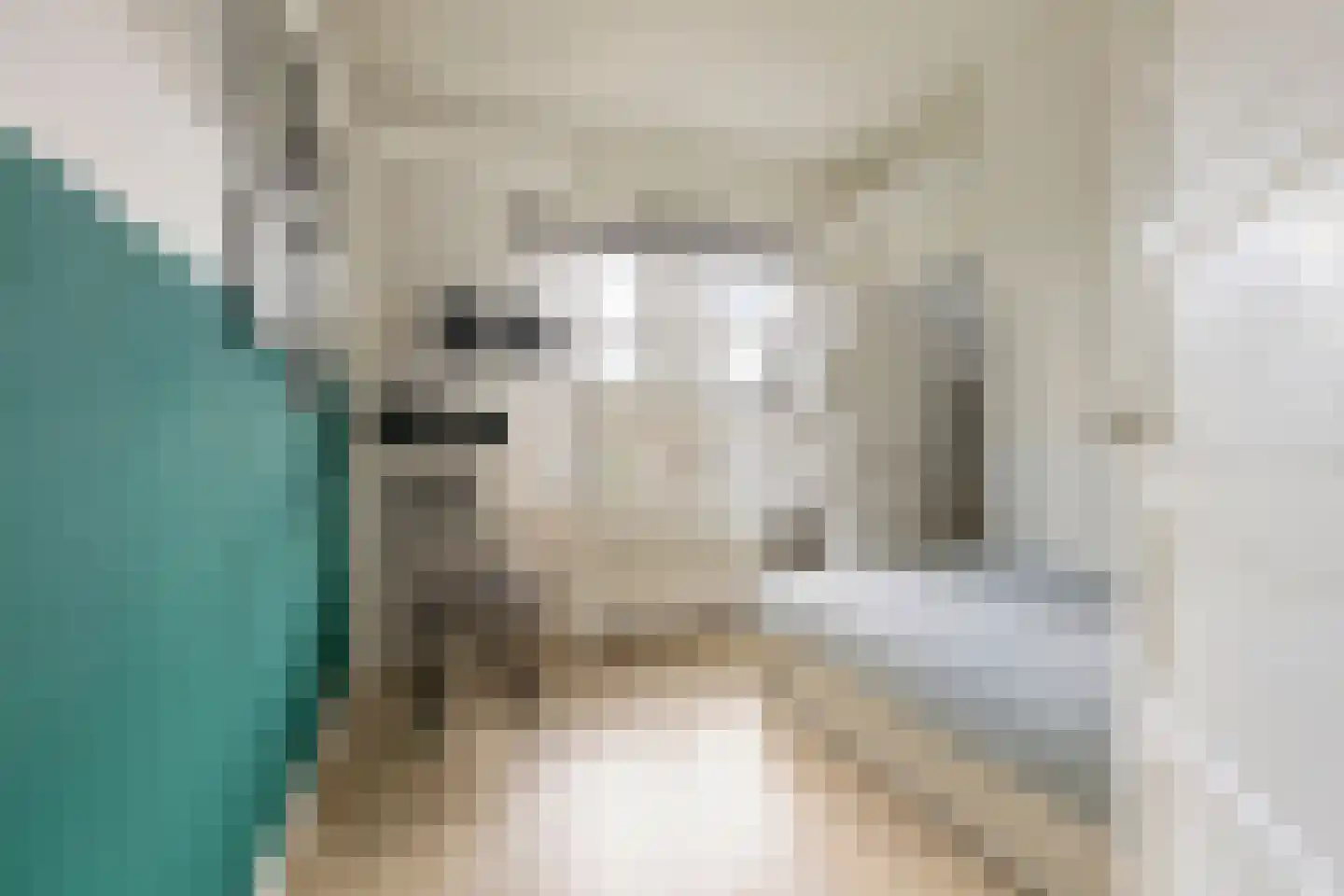 Prinsesseweg 6 a Groningen thumbnail 35
