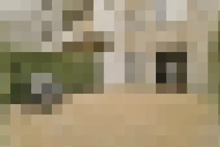 Prinsesseweg 6 a Zandvoort thumbnail 11