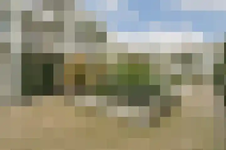 Prinsesseweg 6 a Zandvoort thumbnail 7