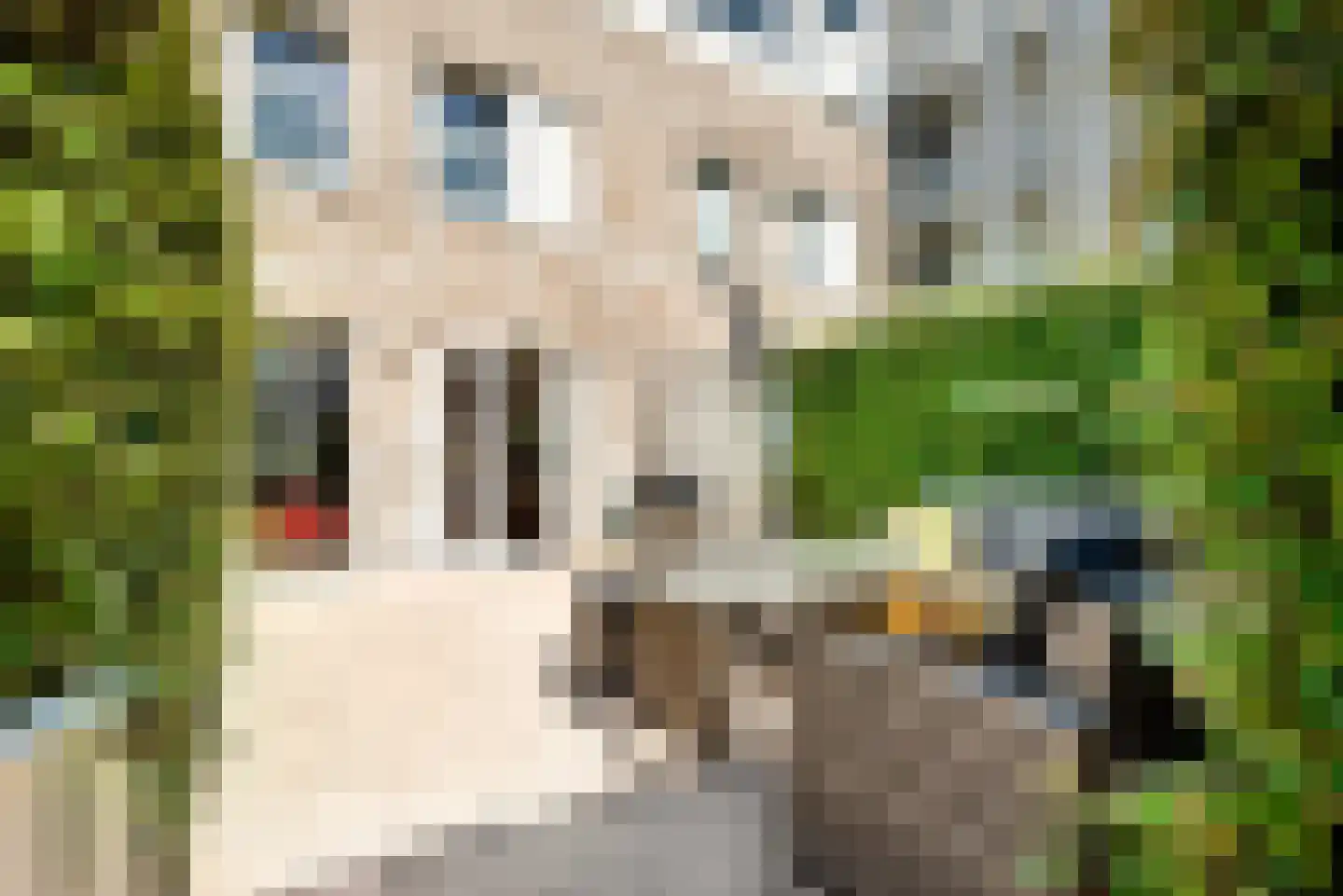 Prinsesseweg 6 f Zandvoort thumbnail 15
