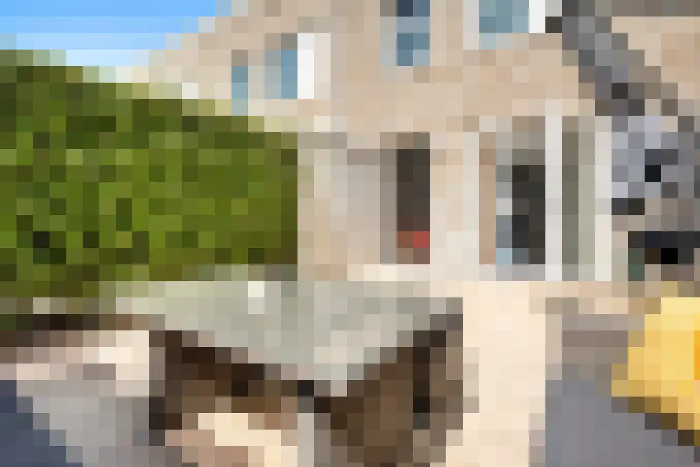 Prinsesseweg 6 f Zandvoort thumbnail 16