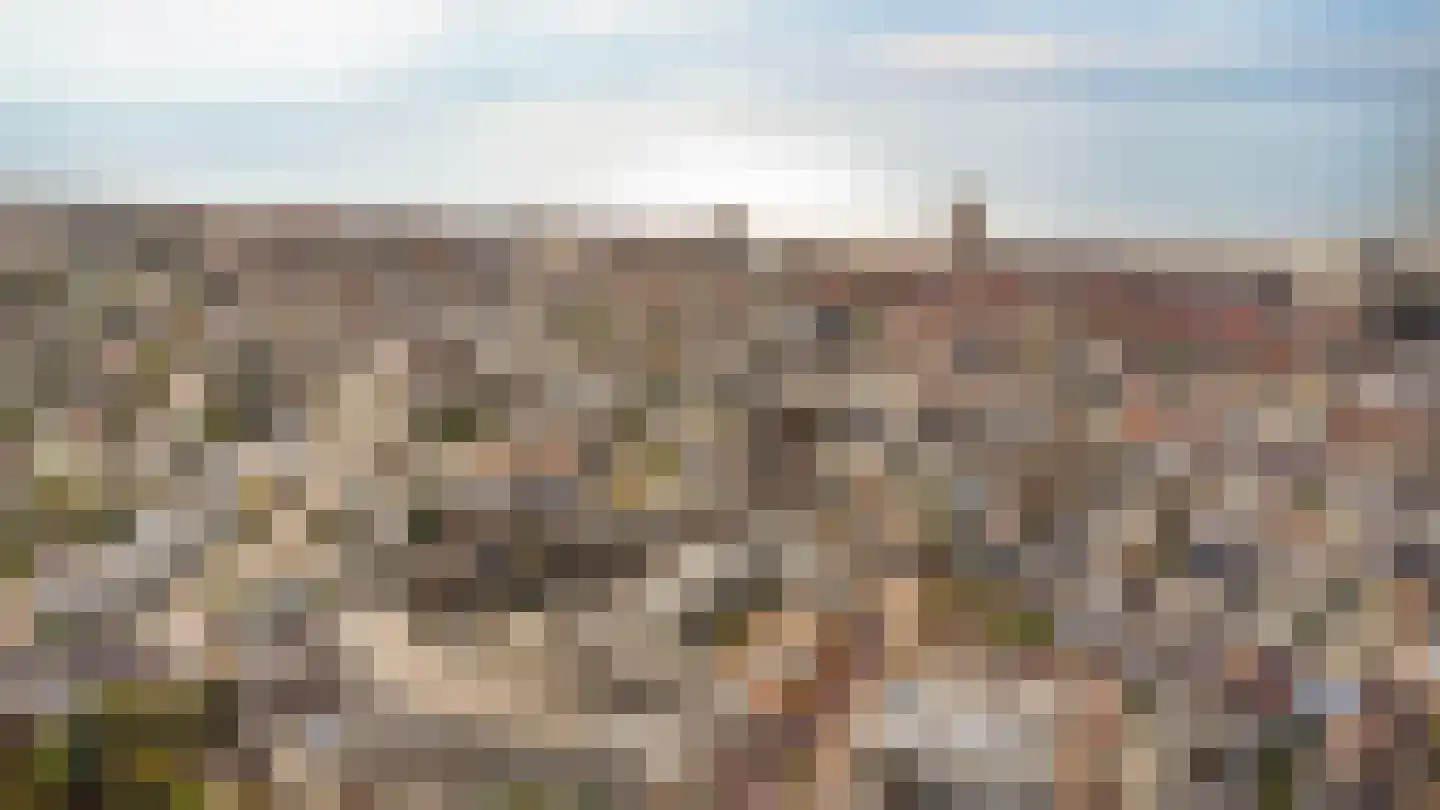 Prinsesseweg 6 f Zandvoort thumbnail 4