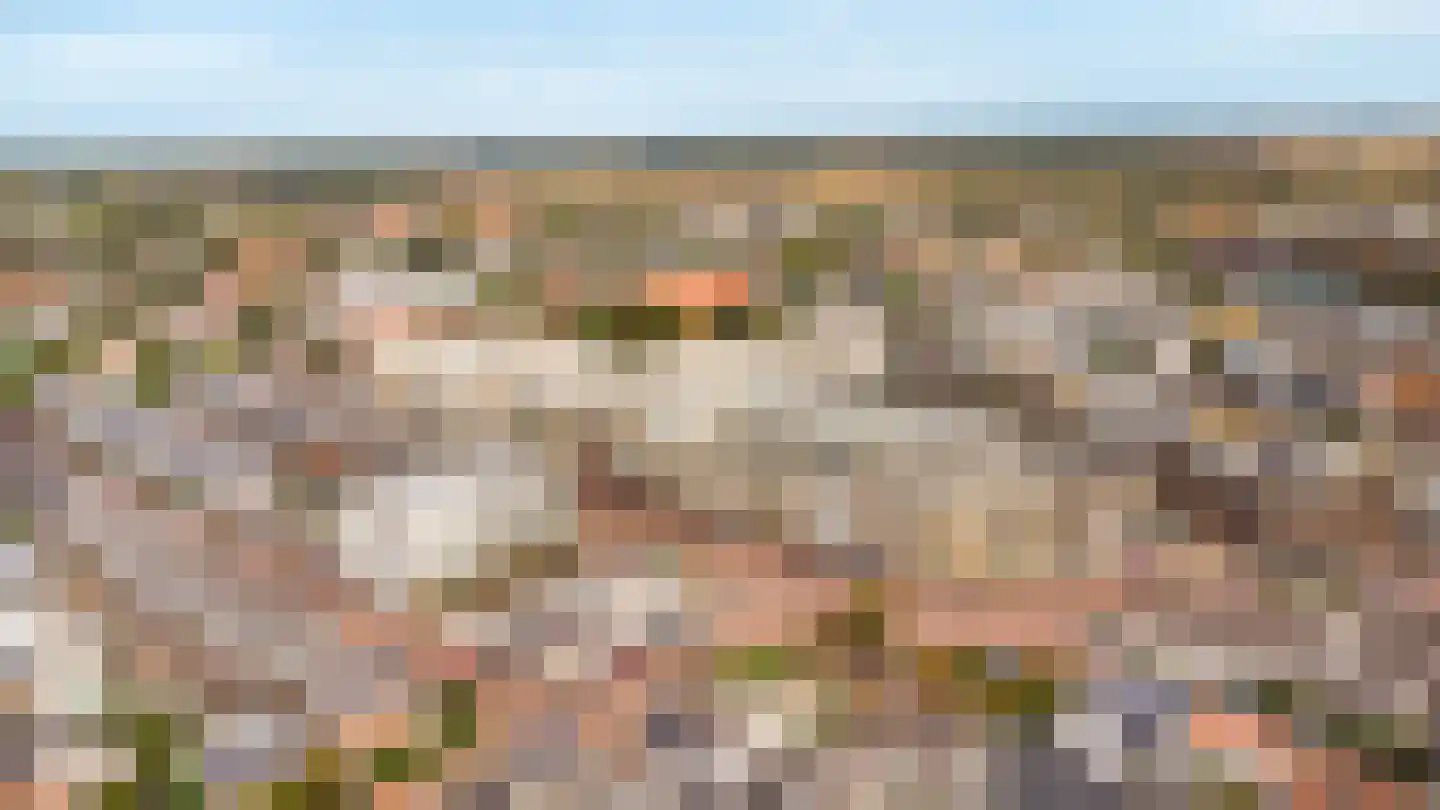 Prinsesseweg 6 f Zandvoort thumbnail 50