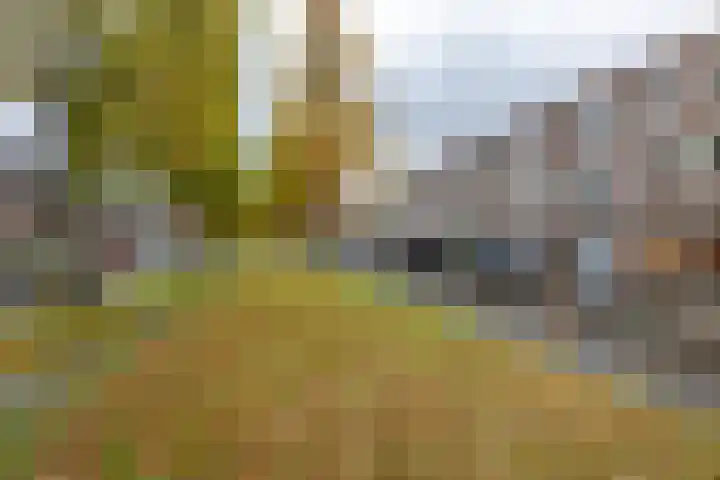 Prinsesseweg 60 Groningen thumbnail 31
