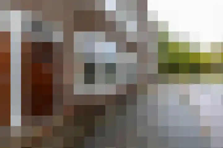 Prinsesseweg 60 Groningen thumbnail 6