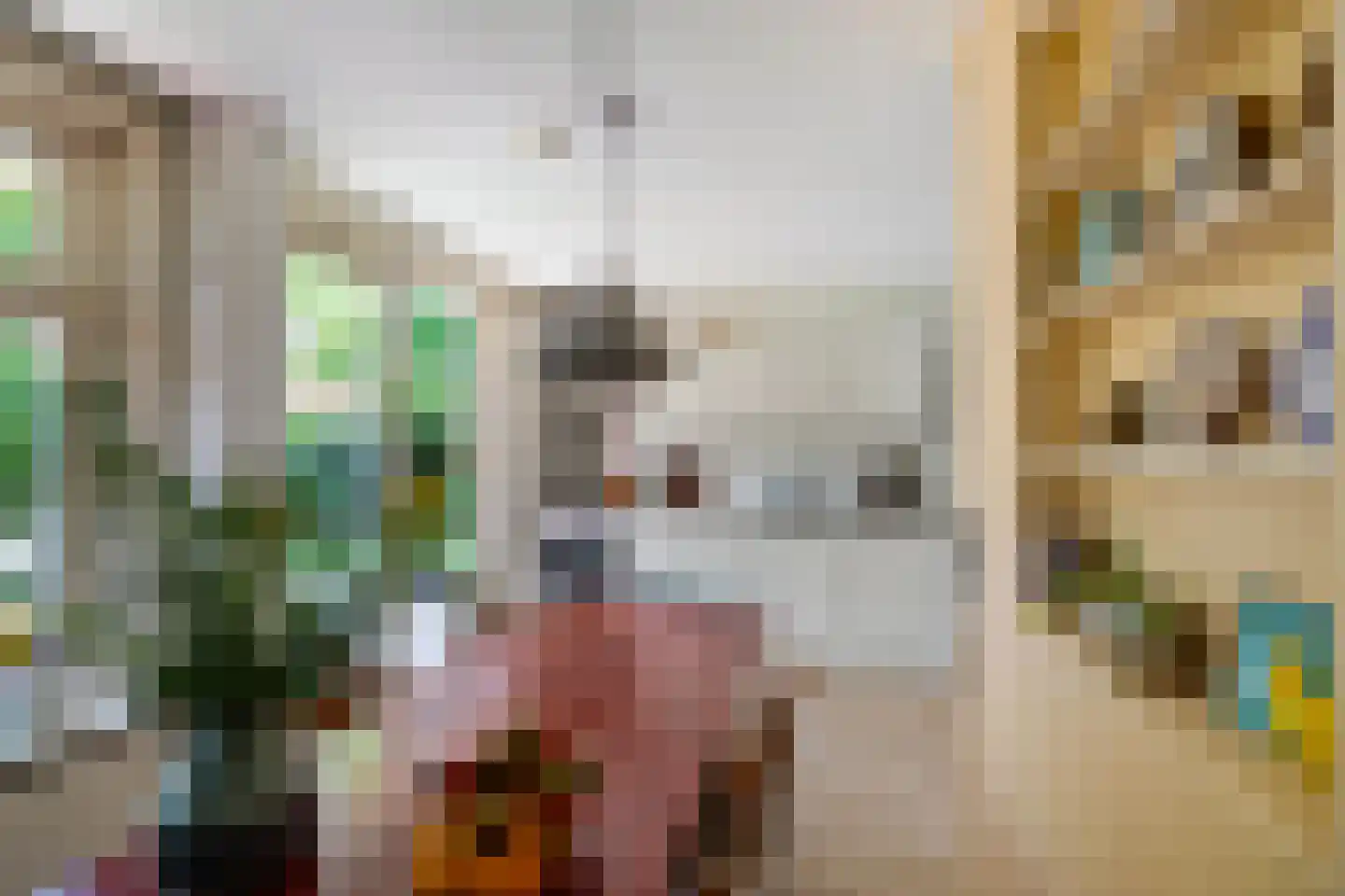 Prinsesseweg 73 Groningen thumbnail 30