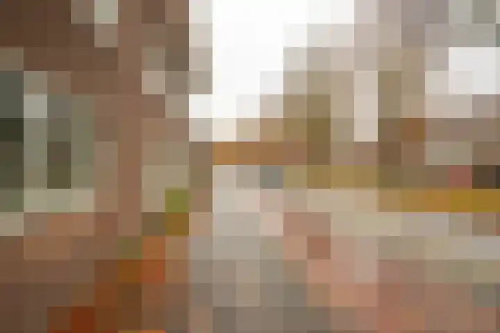 Prinsesseweg 77 a Groningen thumbnail 33