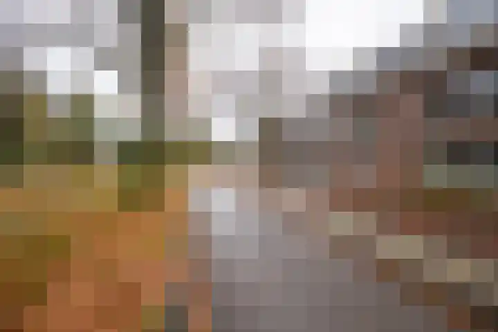 Prinsesseweg 77 a Groningen thumbnail 35