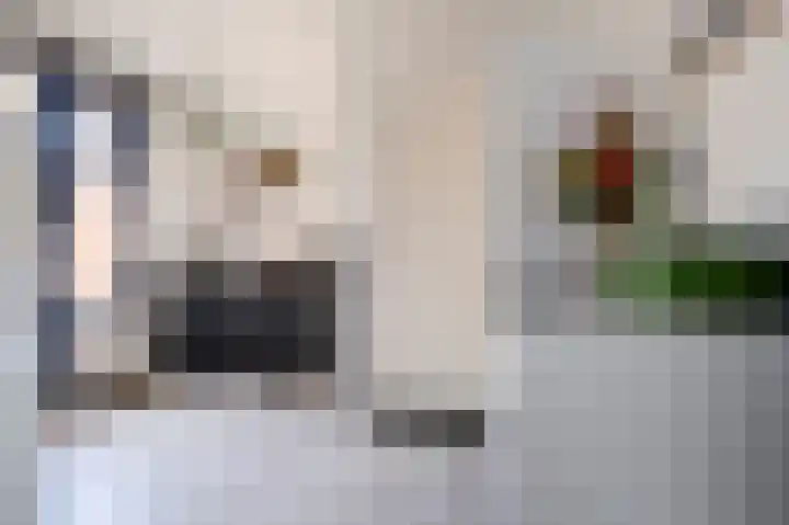 Prinsesseweg 77 Groningen thumbnail 22