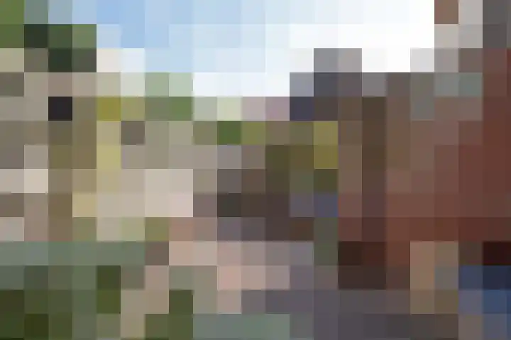 Prinsesseweg 77 Groningen thumbnail 32