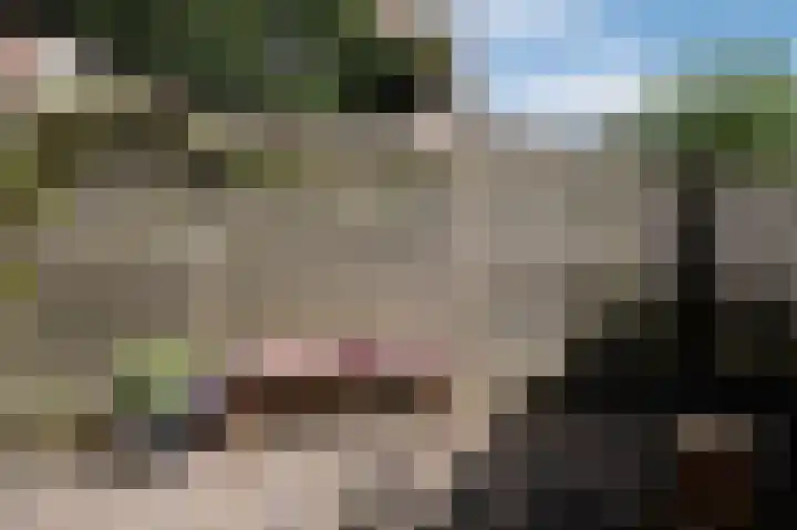 Prinsesseweg 77 Groningen thumbnail 33