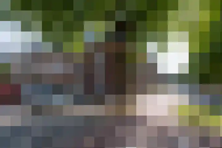 Prinsesseweg 77 Groningen thumbnail 39