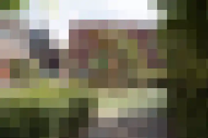 Prinsesseweg 77 Groningen thumbnail 40