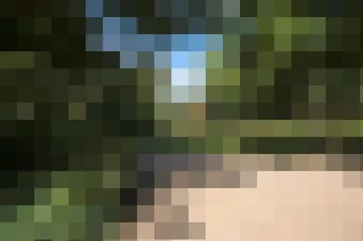 Prinsesseweg 77 Groningen thumbnail 43