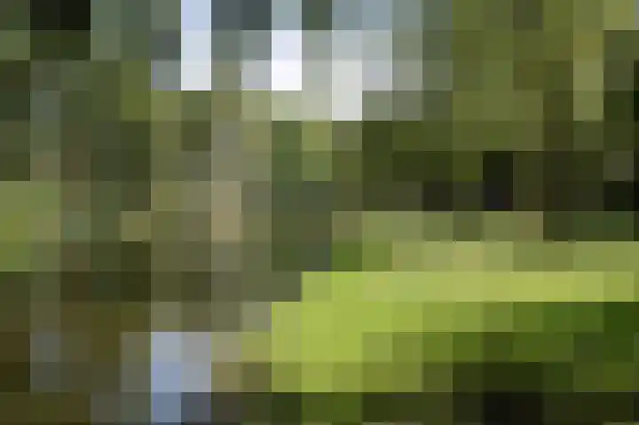 Prinsesseweg 77 Groningen thumbnail 44