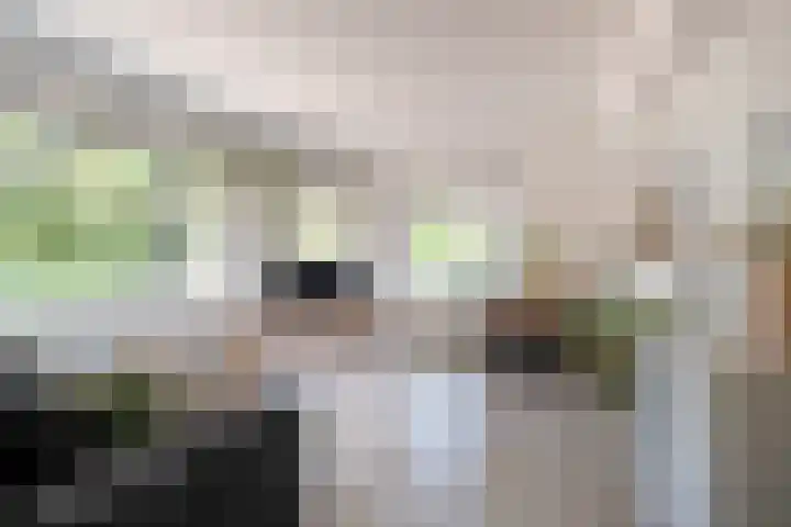 Prinsesseweg 77 Groningen thumbnail 6