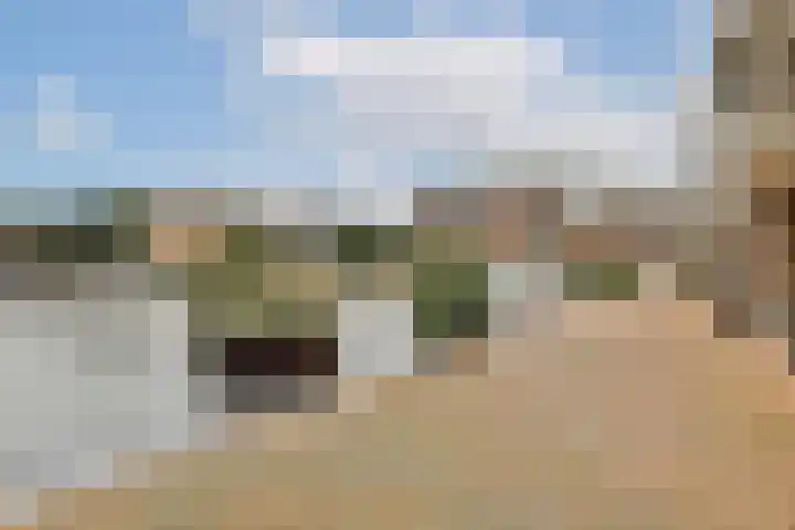 Prinsesseweg 8 f 1 Zandvoort thumbnail 30