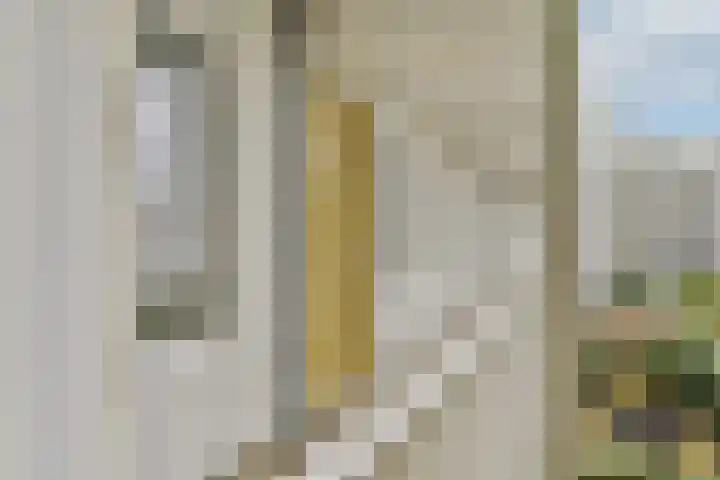 Prinsesseweg 8 f 1 Zandvoort thumbnail 7