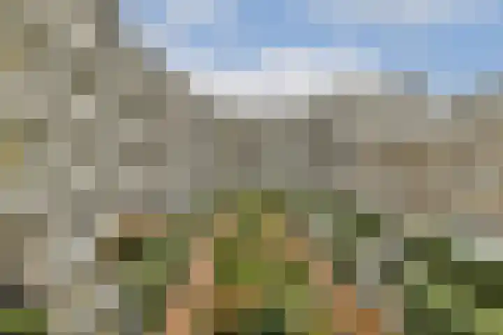 Prinsesseweg 8 f 1 Zandvoort thumbnail 8