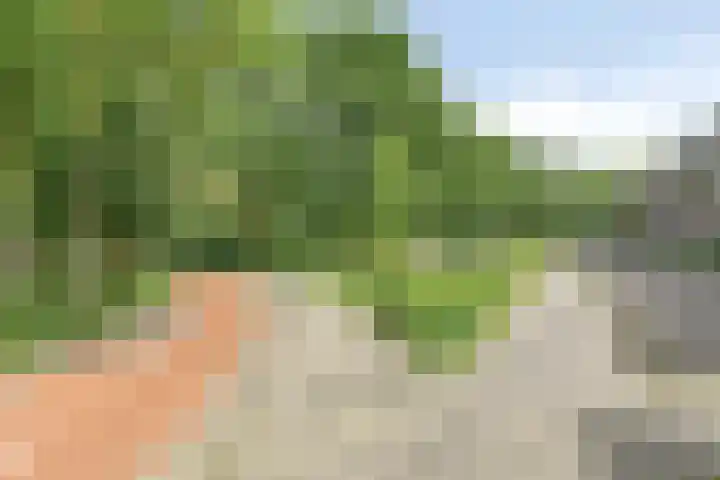 Prinsesseweg 81 Groningen thumbnail 26