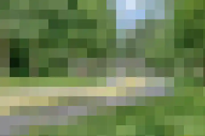 Prinsesseweg 81 Groningen thumbnail 27
