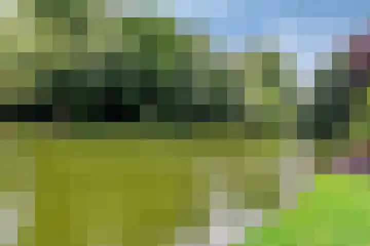 Prinsesseweg 81 Groningen thumbnail 28