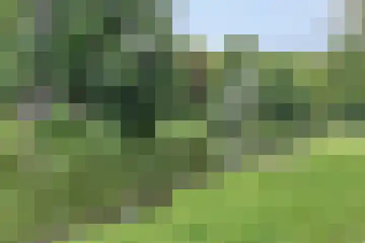 Prinsesseweg 81 Groningen thumbnail 29
