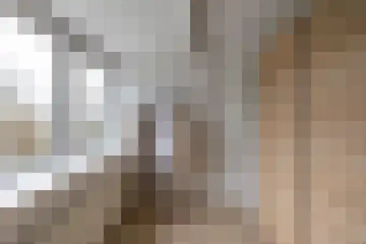 Prinsesseweg 91 a Groningen thumbnail 31