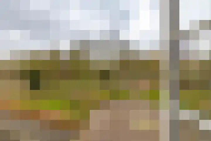 Prinsesseweg 91 a Groningen thumbnail 32