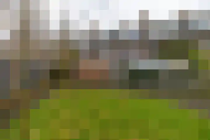 Prinsesseweg 91 a Groningen thumbnail 40