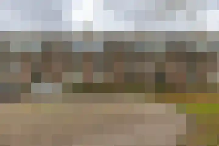 Prinsesseweg 91 a Groningen thumbnail 44