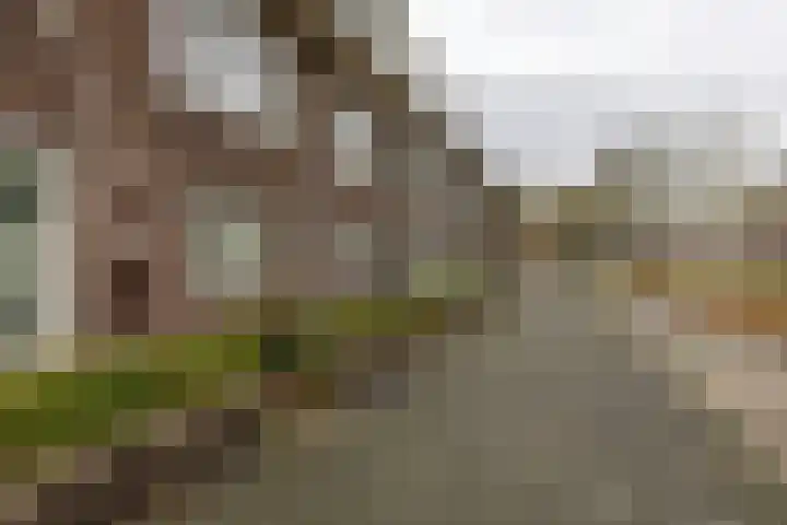 Prinsesseweg 91 a Groningen thumbnail 45