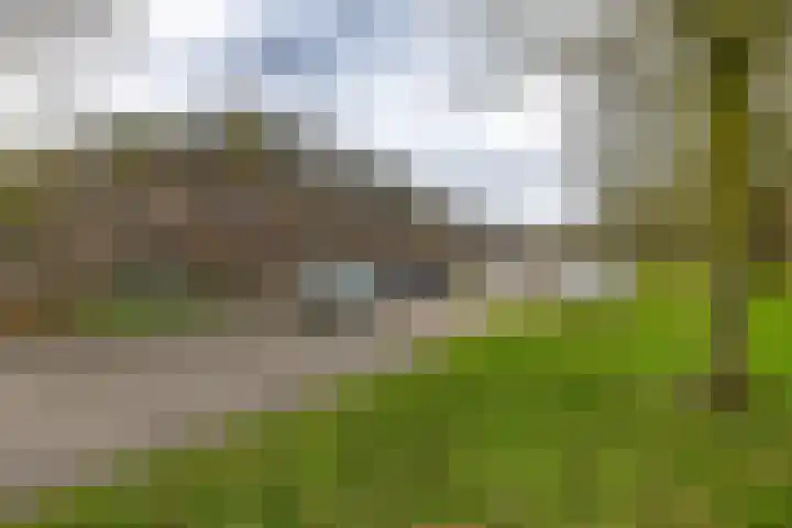 Prinsesseweg 91 a Groningen thumbnail 47