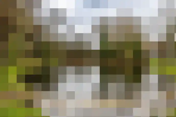 Prinsesseweg 91 a Groningen thumbnail 51