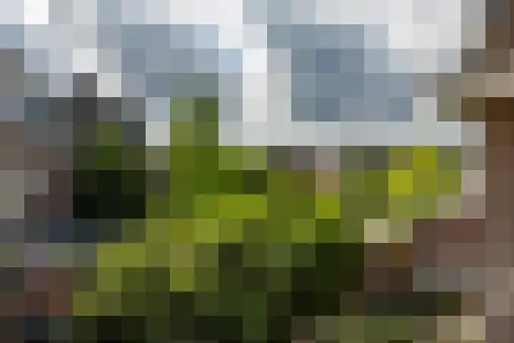 Prinsesseweg 97 b Groningen thumbnail 25