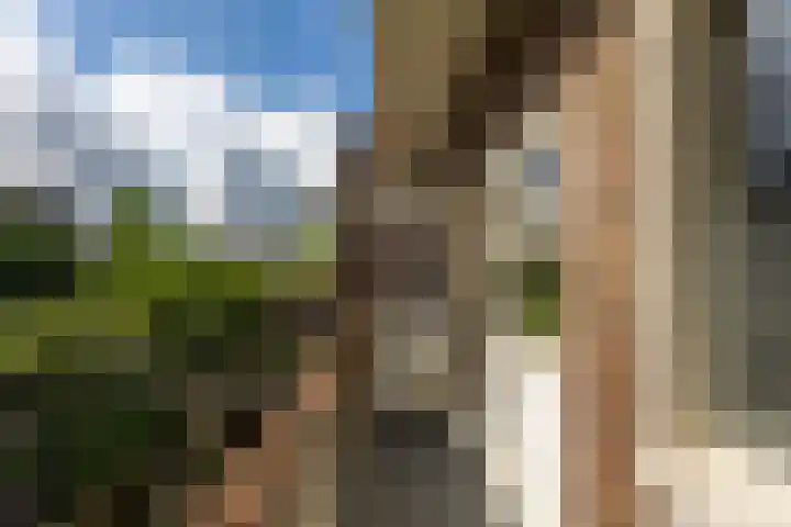 Prinsesseweg 97 b Groningen thumbnail 4