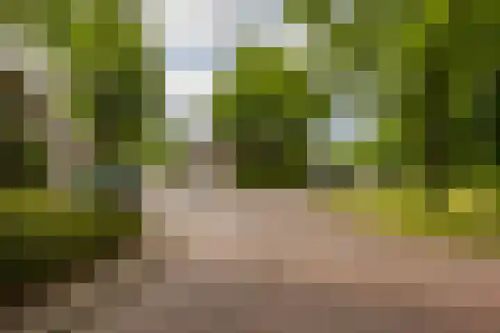Prinsesseweg 97 b Groningen thumbnail 8