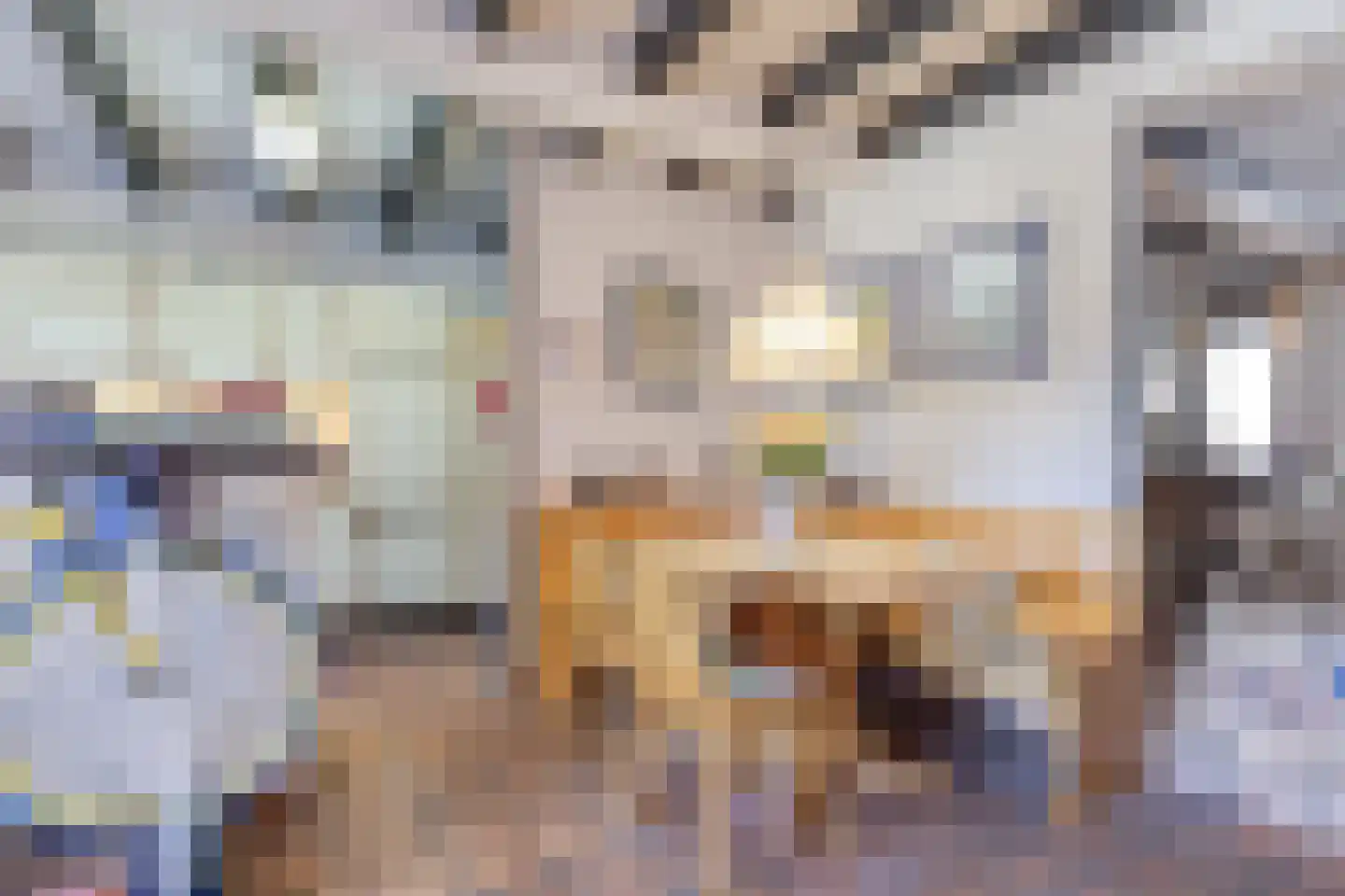 Prinsestraat 10 Cadzand thumbnail 12