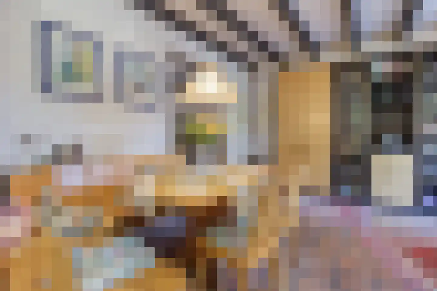 Prinsestraat 10 Cadzand thumbnail 14