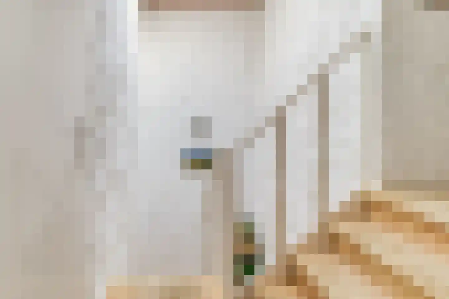 Prinsestraat 10 Cadzand thumbnail 16