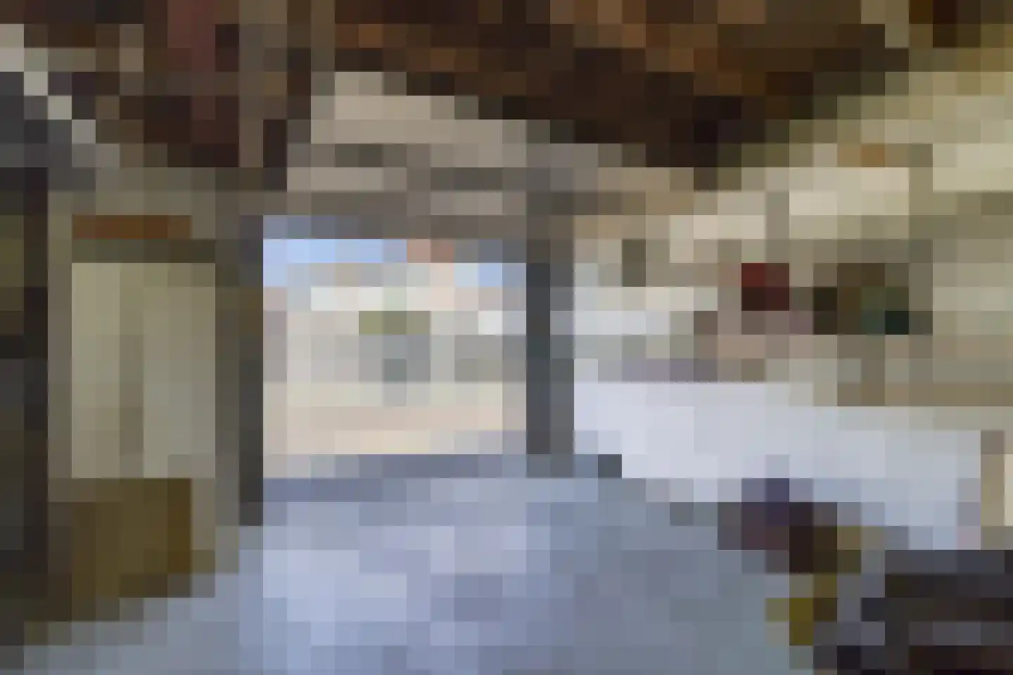 Prinsestraat 10 Cadzand thumbnail 24