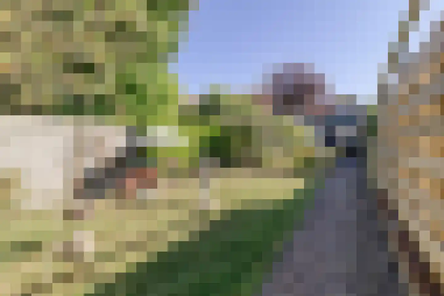 Prinsestraat 10 Cadzand thumbnail 27